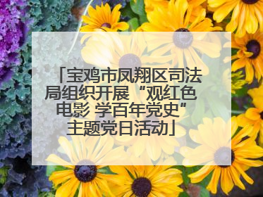 宝鸡市凤翔区司法局组织开展“观红色电影 学百年党史”主题党日活动