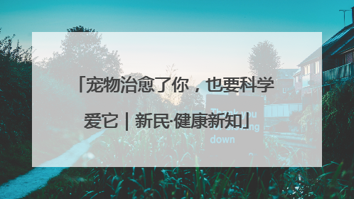 宠物治愈了你，也要科学爱它｜新民·健康新知