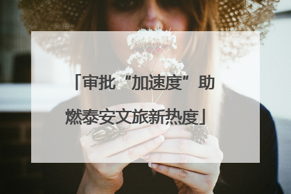 审批“加速度”助燃泰安文旅新热度