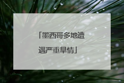 墨西哥多地遭遇严重旱情