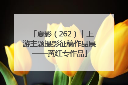 夏影（262）｜上游主题摄影征稿作品展——黄红专作品