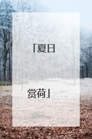 夏日赏荷