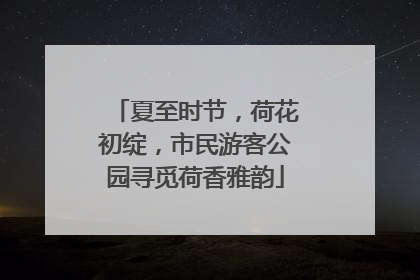 夏至时节，荷花初绽，市民游客公园寻觅荷香雅韵