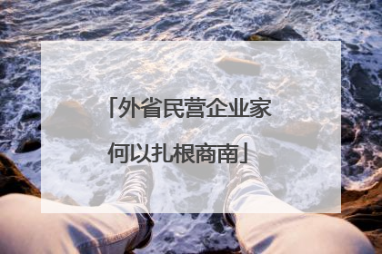 外省民营企业家何以扎根商南