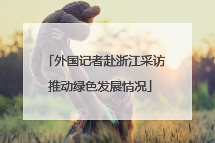 外国记者赴浙江采访推动绿色发展情况