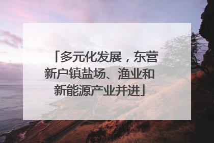多元化发展，东营新户镇盐场、渔业和新能源产业并进