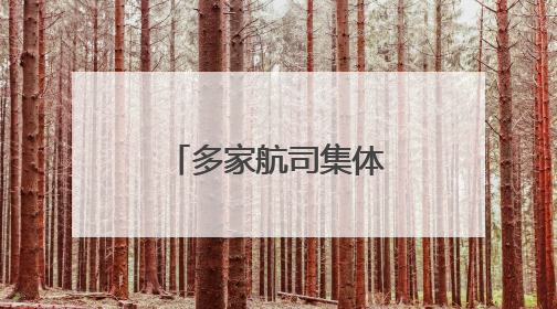 多家航司集体亮相西博会 航线拓展、智慧出行等亮点纷呈