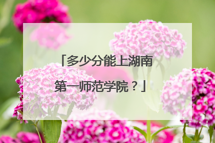 多少分能上湖南第一师范学院？
