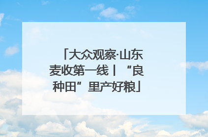 大众观察·山东麦收第一线丨“良种田”里产好粮