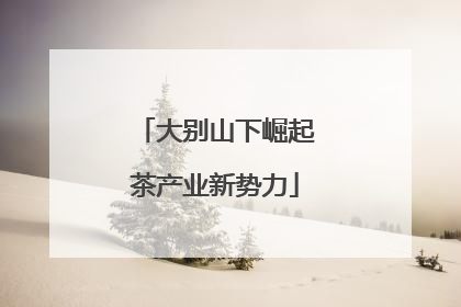 大别山下崛起茶产业新势力