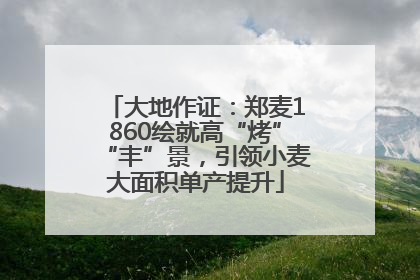 大地作证：郑麦1860绘就高“烤”“丰”景，引领小麦大面积单产提升