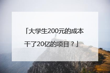 大学生200元的成本干了20亿的项目？