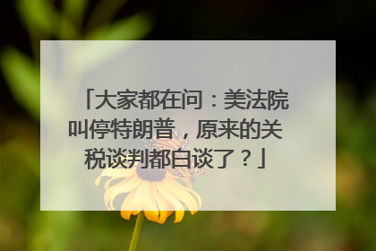 大家都在问：美法院叫停特朗普，原来的关税谈判都白谈了？