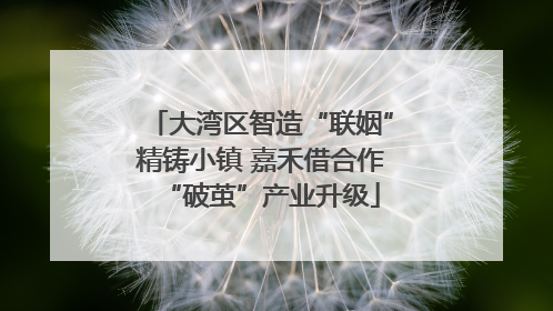 大湾区智造“联姻”精铸小镇 嘉禾借合作“破茧”产业升级