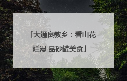 大通良教乡：看山花烂漫 品砂罐美食
