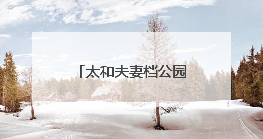 太和夫妻档公园“摆摊”9年教授“救命术”