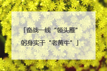 奋战一线“领头雁” 躬身实干“老黄牛”