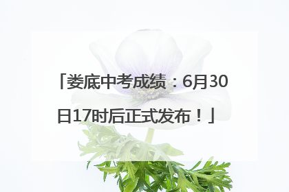 娄底中考成绩：6月30日17时后正式发布！