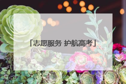 志愿服务 护航高考