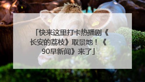快来这里打卡热播剧《长安的荔枝》取景地！《90早新闻》来了