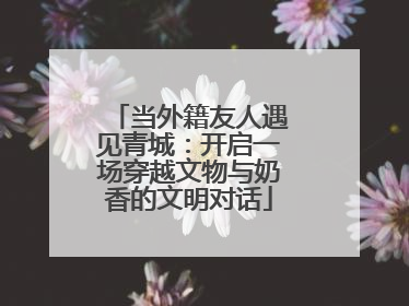 当外籍友人遇见青城：开启一场穿越文物与奶香的文明对话