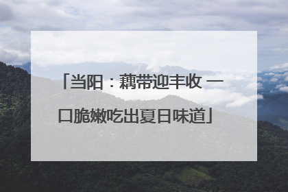 当阳：藕带迎丰收 一口脆嫩吃出夏日味道