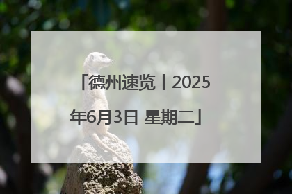 德州速览丨2025年6月3日 星期二