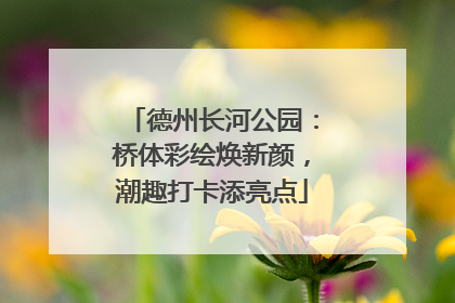 德州长河公园：桥体彩绘焕新颜，潮趣打卡添亮点