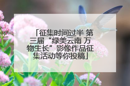 征集时间过半 第三届“绿美云南 万物生长”影像作品征集活动等你投稿