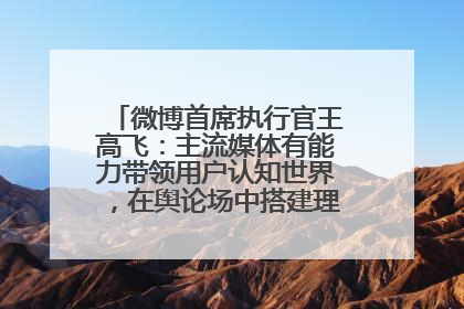 微博首席执行官王高飞：主流媒体有能力带领用户认知世界，在舆论场中搭建理性的讨论空间