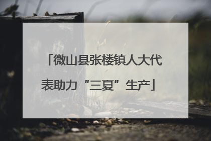 微山县张楼镇人大代表助力“三夏”生产