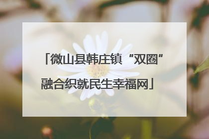 微山县韩庄镇“双圈”融合织就民生幸福网