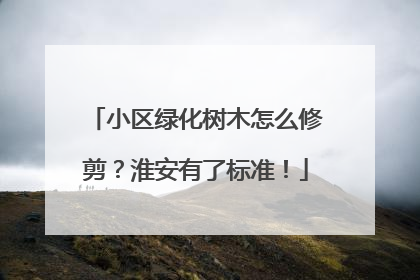 小区绿化树木怎么修剪？淮安有了标准！