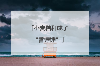 小麦秸秆成了“香饽饽”