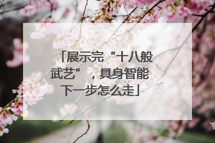 展示完“十八般武艺”，具身智能下一步怎么走