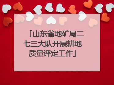 山东省地矿局二七三大队开展耕地质量评定工作
