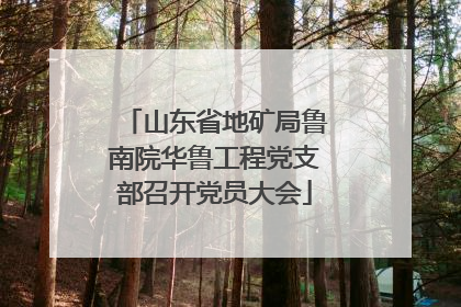 山东省地矿局鲁南院华鲁工程党支部召开党员大会