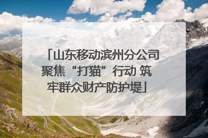 山东移动滨州分公司聚焦“打猫”行动 筑牢群众财产防护堤