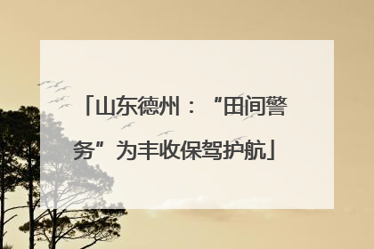 山东德州：“田间警务”为丰收保驾护航