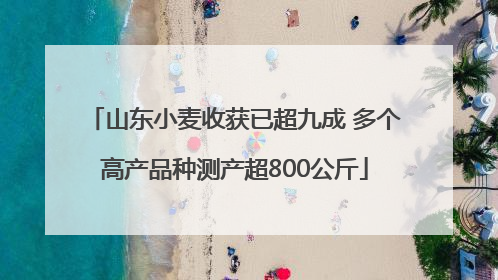 山东小麦收获已超九成 多个高产品种测产超800公斤