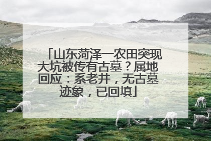 山东菏泽一农田突现大坑被传有古墓？属地回应：系老井，无古墓迹象，已回填
