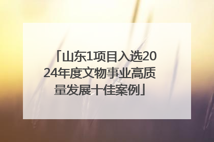 山东1项目入选2024年度文物事业高质量发展十佳案例