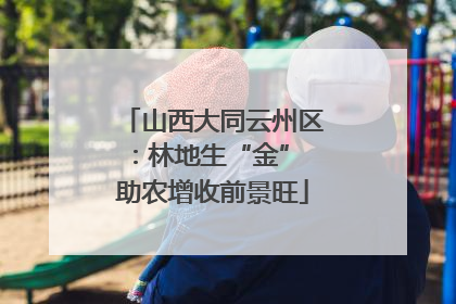 山西大同云州区：林地生“金” 助农增收前景旺