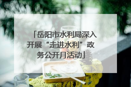 岳阳市水利局深入开展“走进水利”政务公开月活动