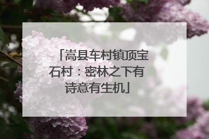嵩县车村镇顶宝石村：密林之下有诗意有生机