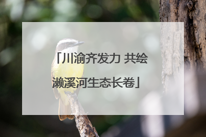 川渝齐发力 共绘濑溪河生态长卷