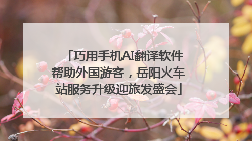 巧用手机AI翻译软件帮助外国游客，岳阳火车站服务升级迎旅发盛会