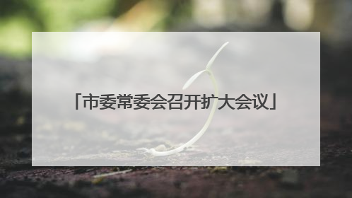市委常委会召开扩大会议