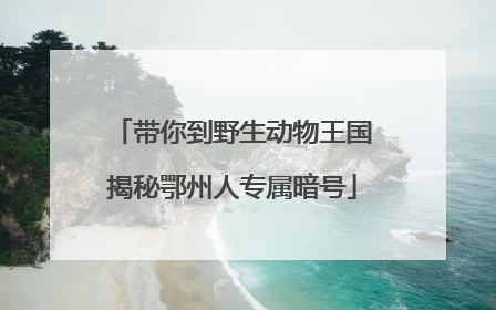 带你到野生动物王国揭秘鄂州人专属暗号