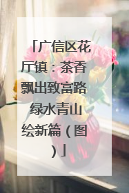 广信区花厅镇：茶香飘出致富路 绿水青山绘新篇（图）
